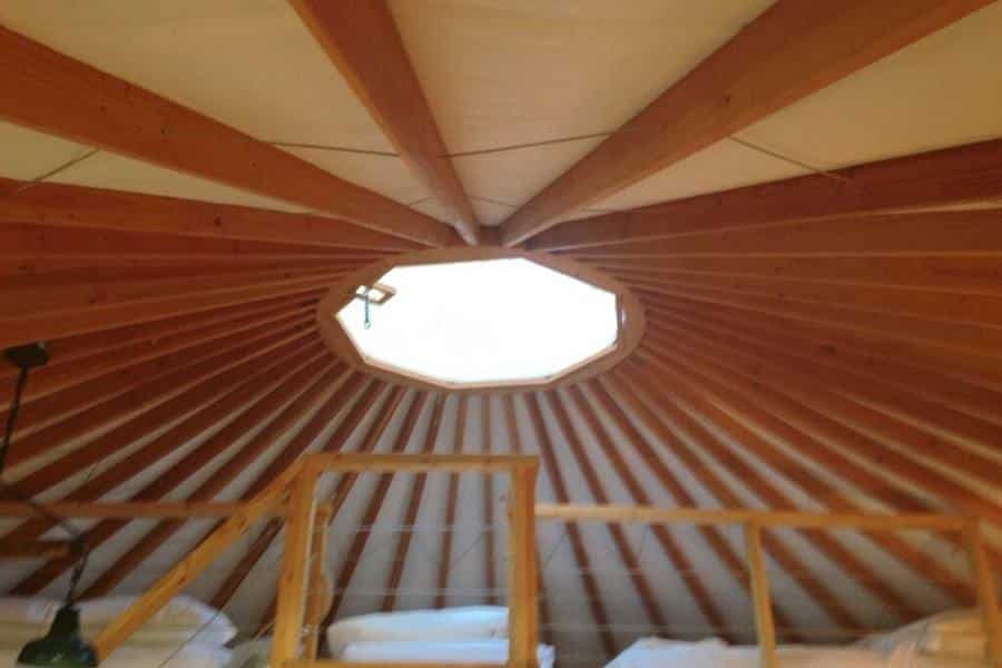 Beautiful View Through the Yurts Skylight