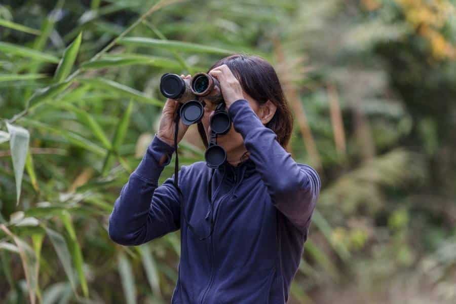 Birdwatching is a Fun Activity