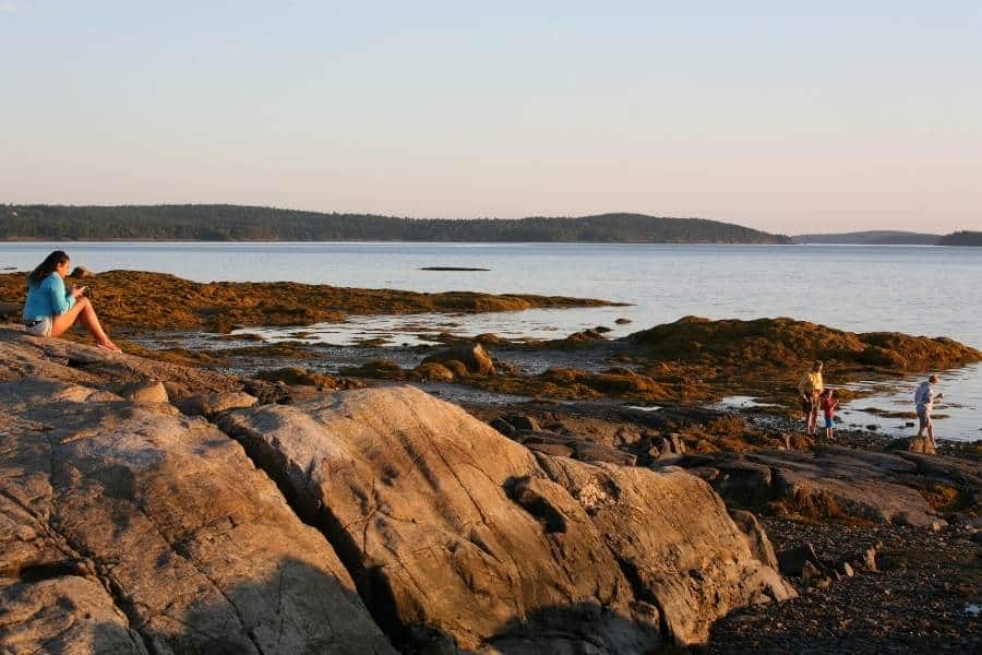 Bar Harbor Camping with Dogs