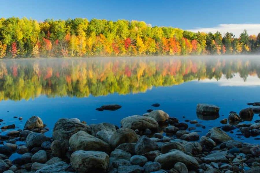 Hiawatha National Forest overlooking the calm waters
