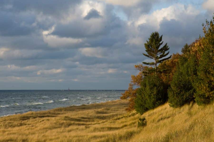 Muskegon State Park grassy shoreline