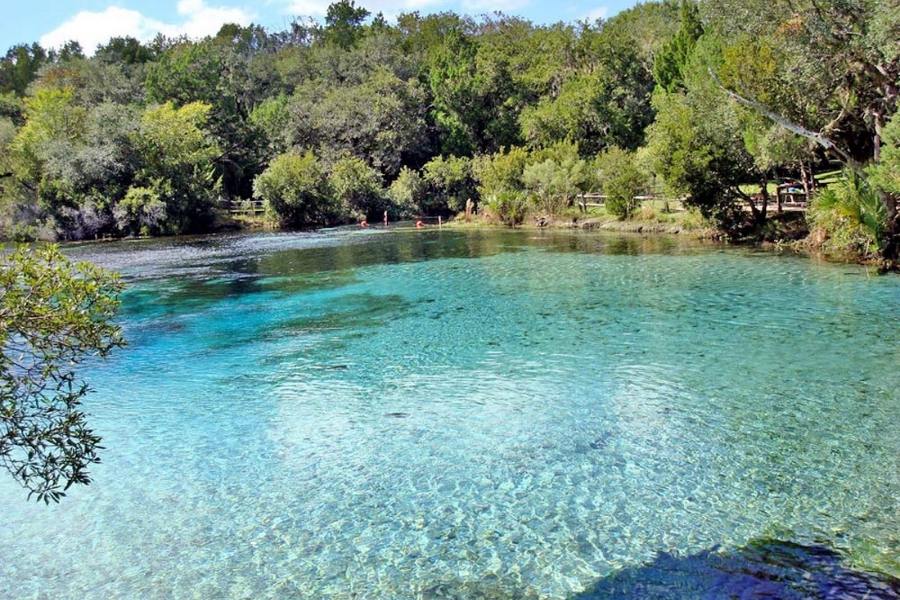Ocala National Forest in Florida