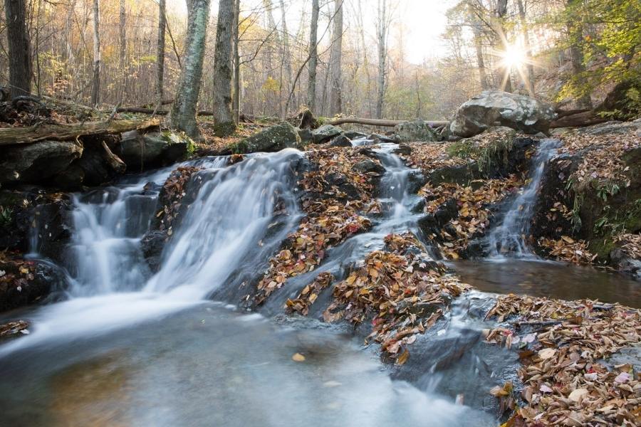 Shenandoah National Park in Virginia