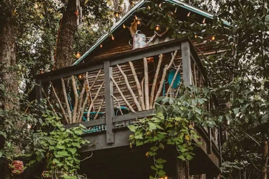 The Treehouse - Lake Tawakoni, TX
