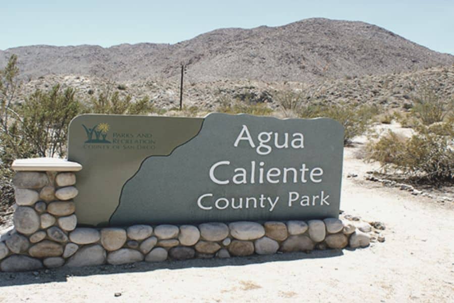 Agua Caliente County Park in the Winter