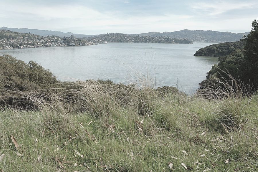 Angel Island California
