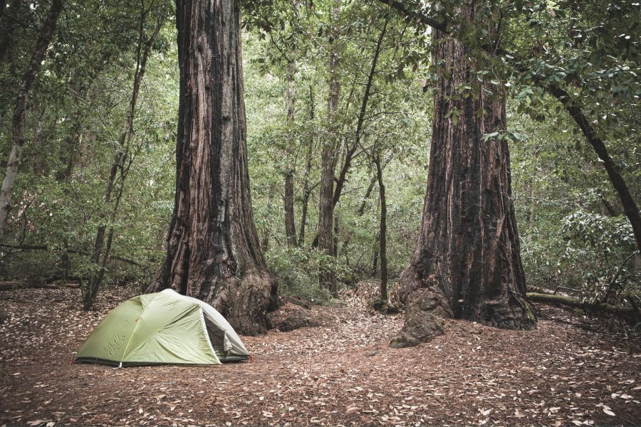 Big Basin Redwoods State Park Camping in Tent