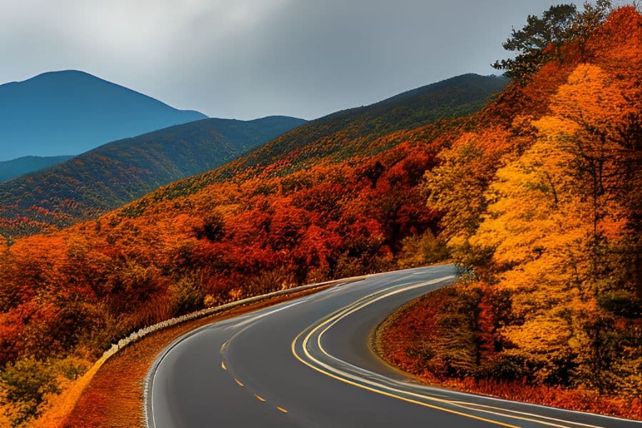 Drive through the Smoky Mountains during the Fall