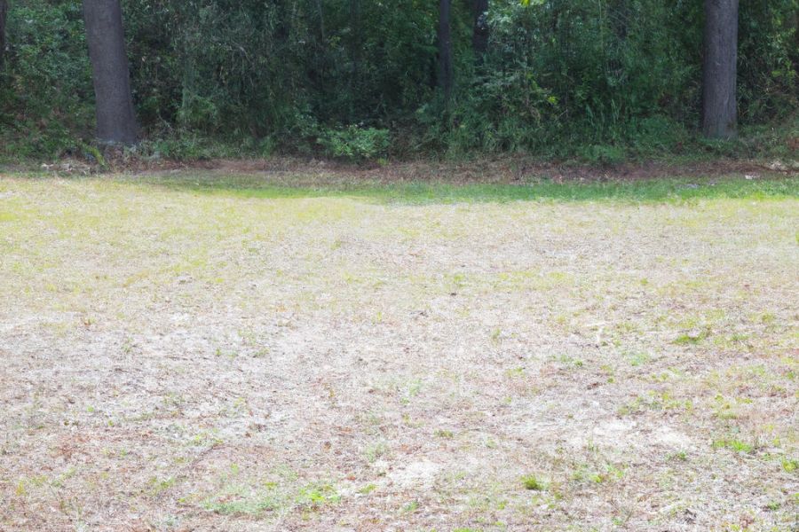 Flat Open Areas are Great for Glamping Tents