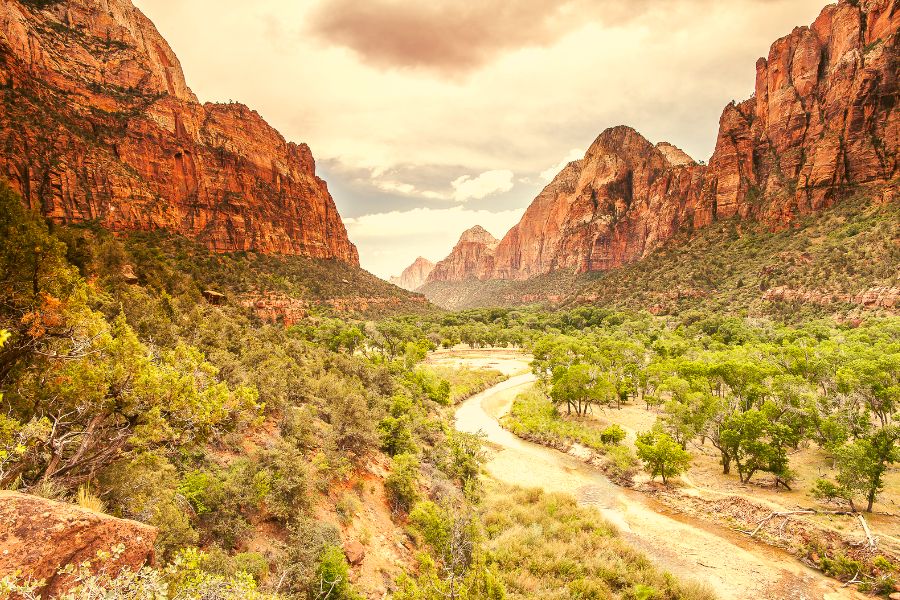 Zion National Park in the Summer