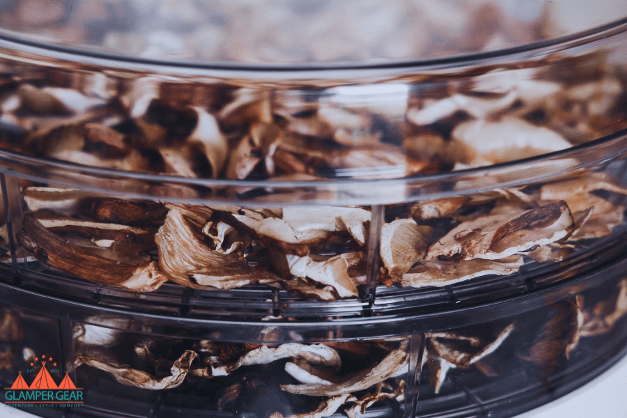 Dehydrating Mushrooms with Food Dehydrator