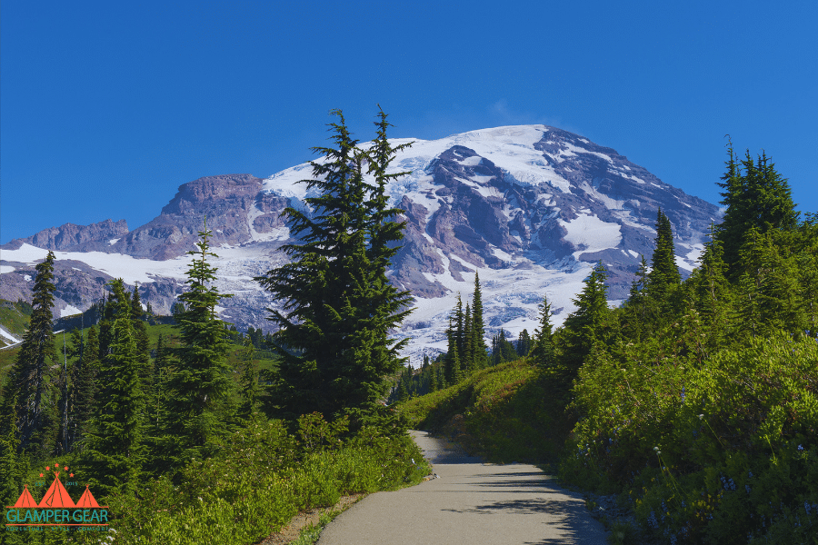 Mount Rainier National Park near La Wis Wis Campground