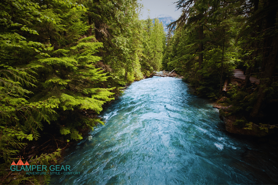 Mountain River with Trees